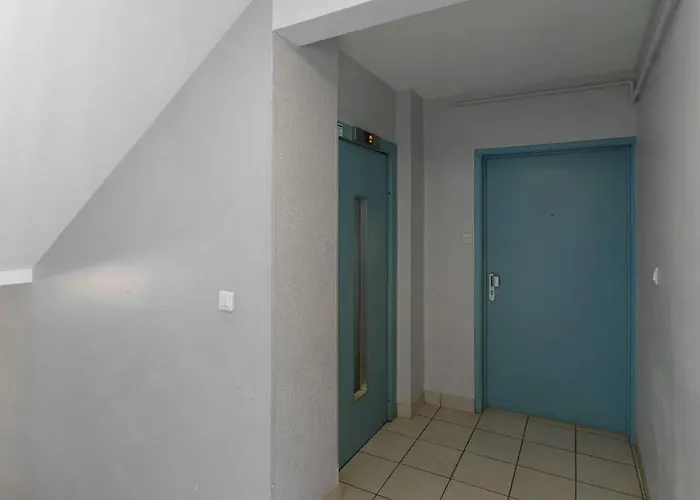 Le Raymond - Proche Du Centre Sportif, Des Rives De L'allier Et Du Centre-ville - Parking * Виши